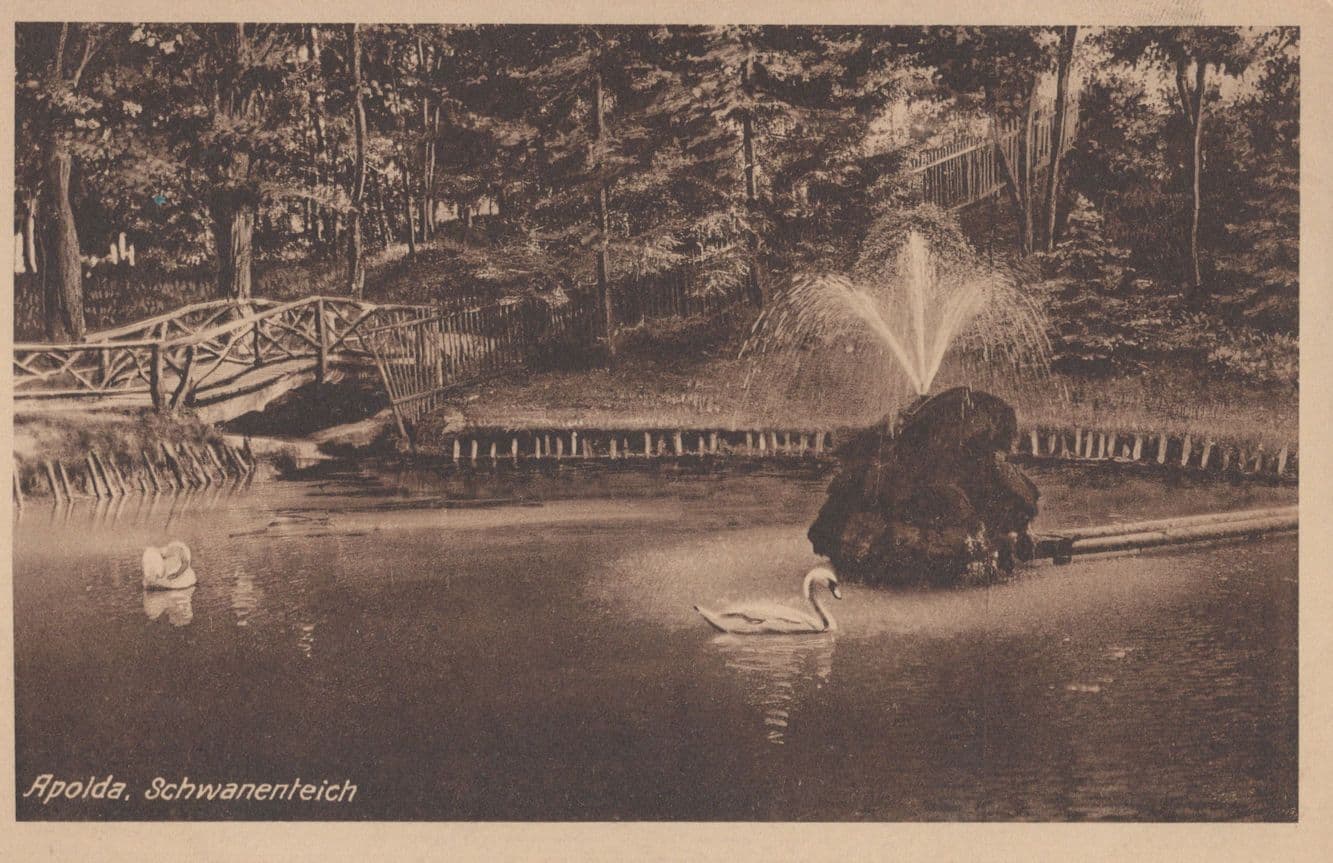 AK Apolda Partie AM Schwanenteich German Swans River Old Postcard