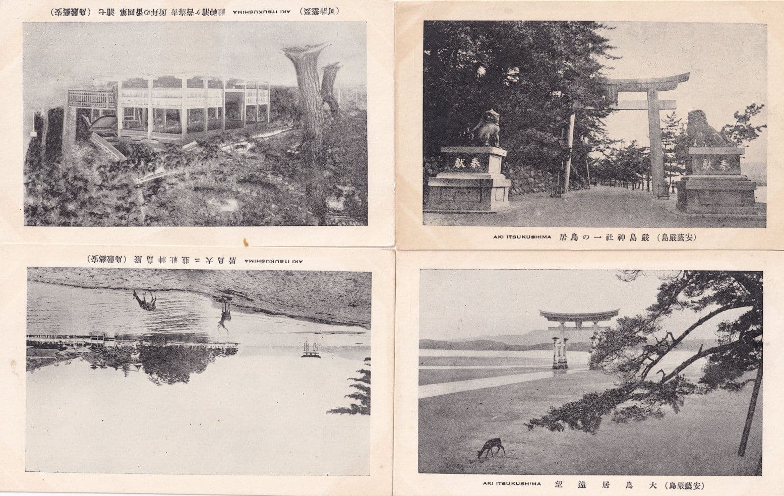 Aki Itsukushima 4x Antique Japanese Postcard s