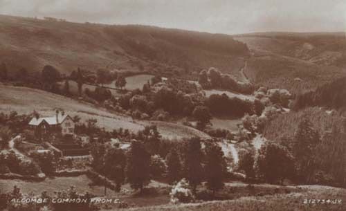 Alcombe Common Mint Valentines Scottish Postcard
