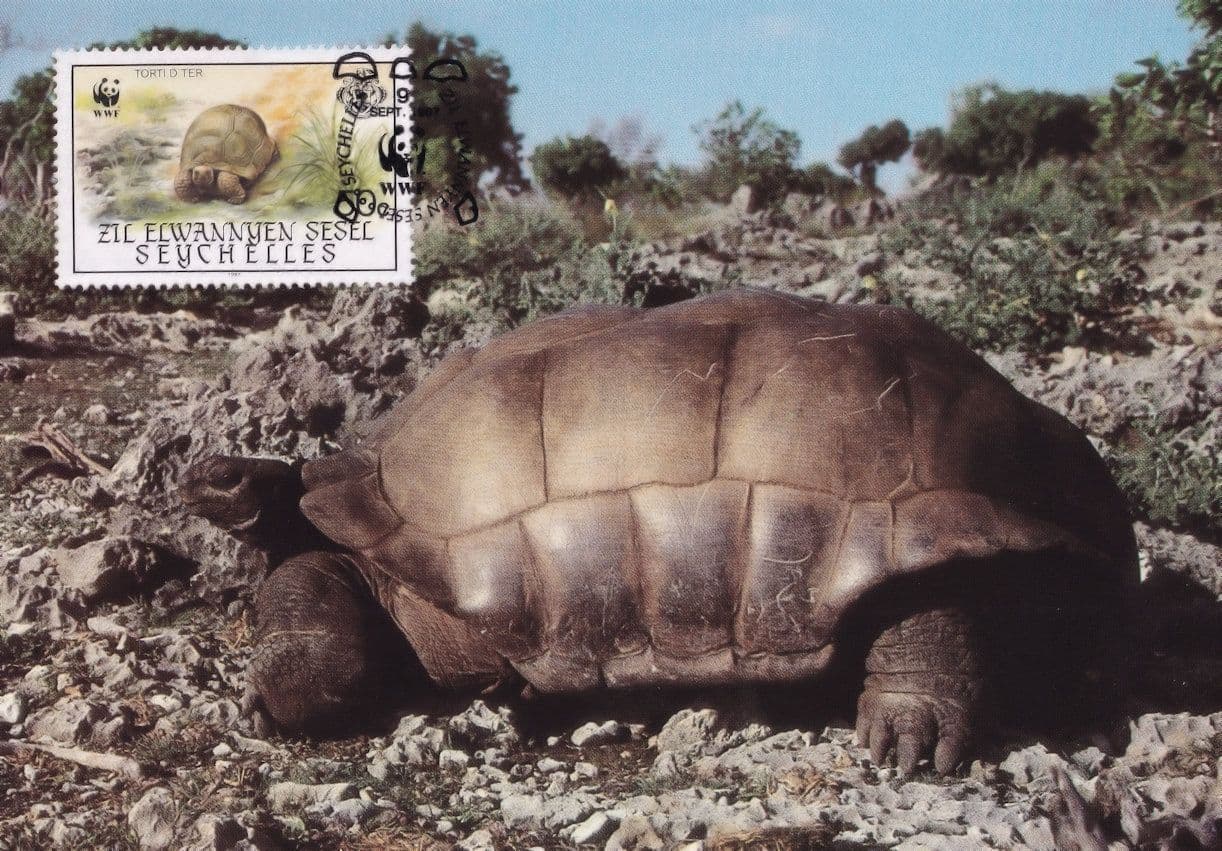 Aldabra Giant Tortoise Seychelles WWF Stamp First Day Cover Postcard