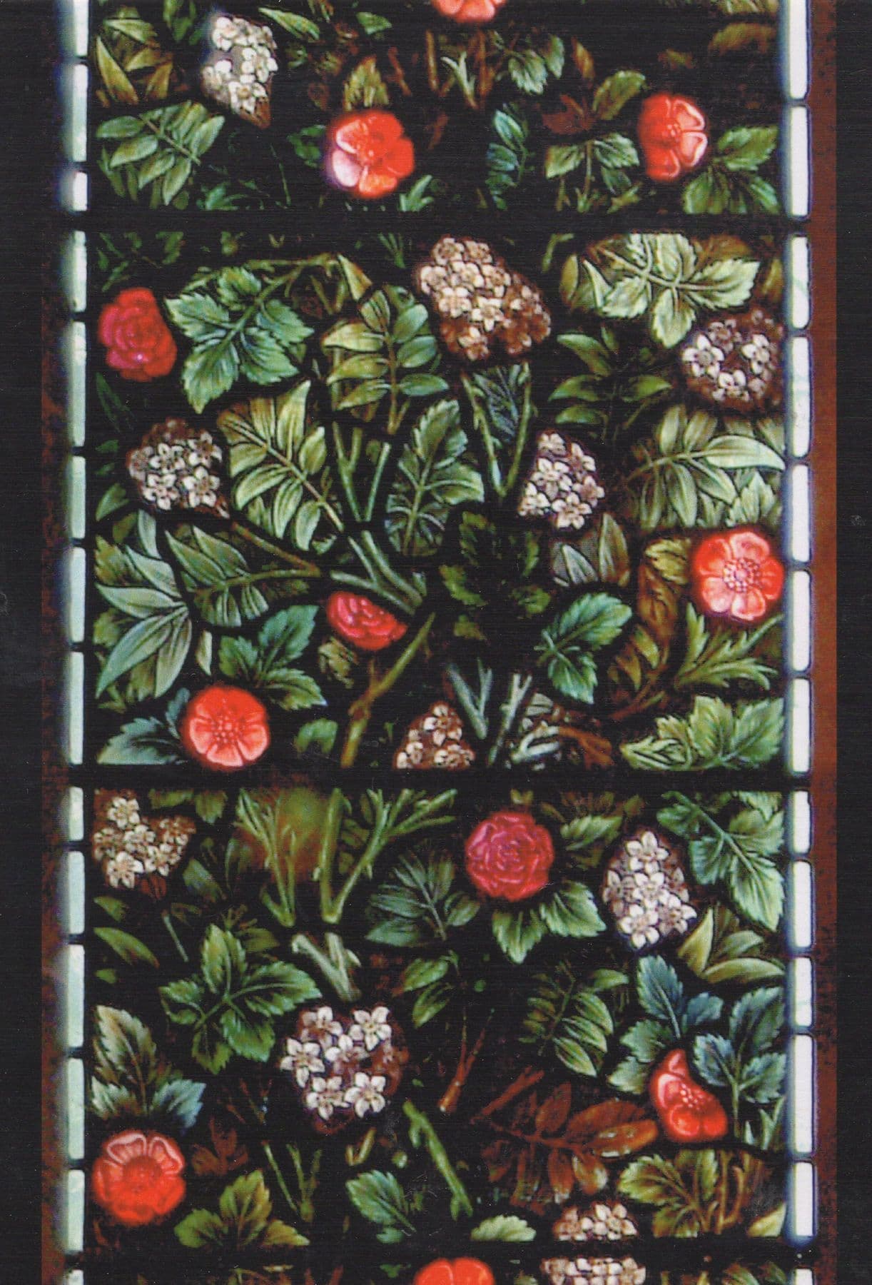 All Saints Church Wilden Beds Panel Of Wild Flowers To Louisa 1909 Postcard