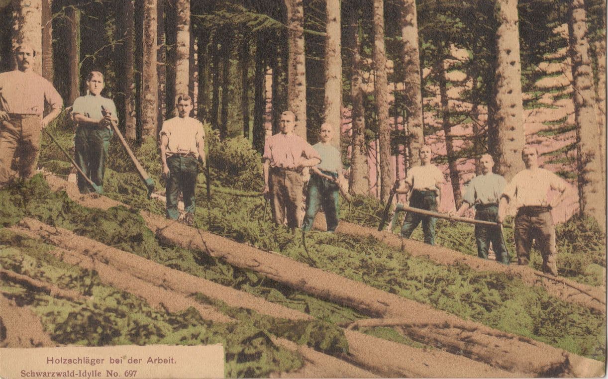 Allemagne HolzschlÔøΩger Schwarzwald Bei Der Arbeit German Postcard