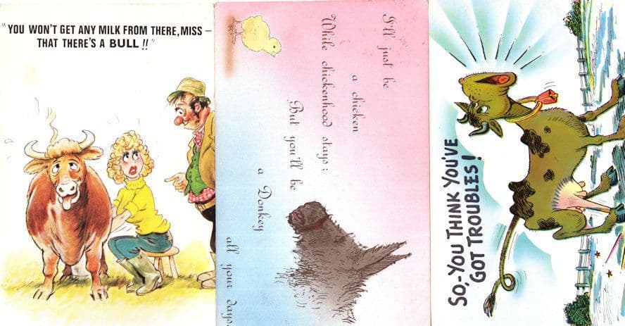 Always A Donkey 3x Postcard s incl 1913 Antique Card