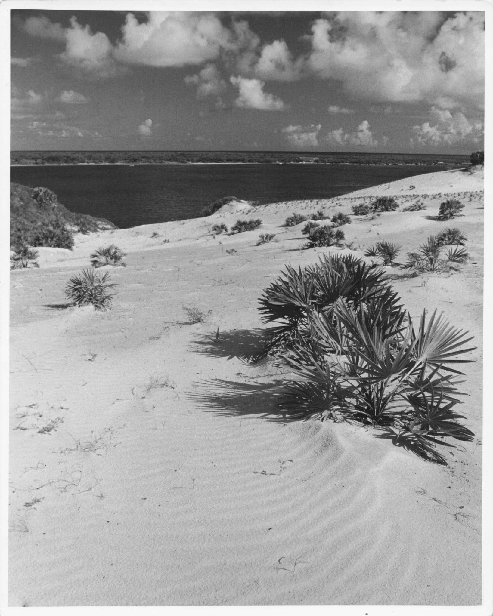 Amazing Sands At Lamu Island Kenya African Vintage 10x8 Press Photo