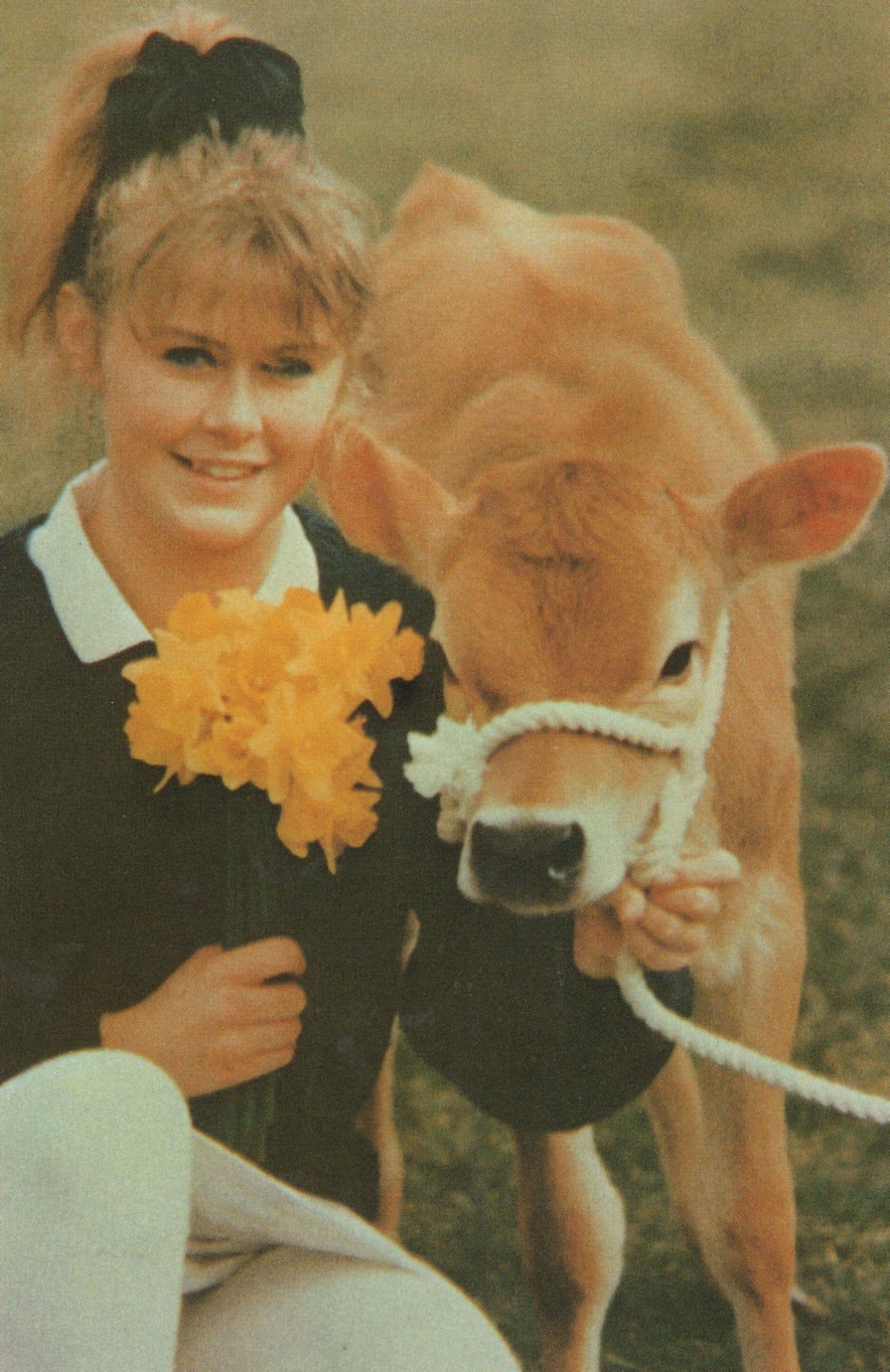 Amerton Farm Staffordshire Limited Edition Rare 1980s Postcard