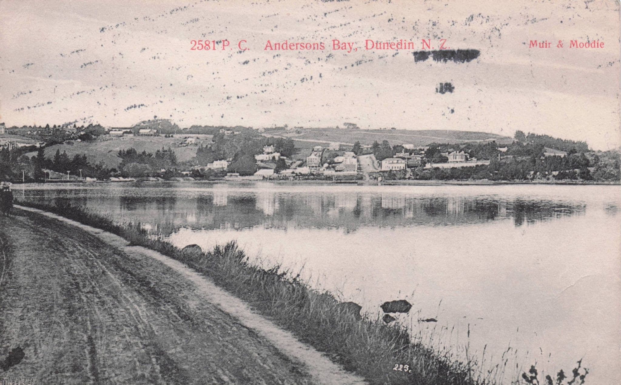Andersons Bay Dunedin New Zealand Rare Old Postcard