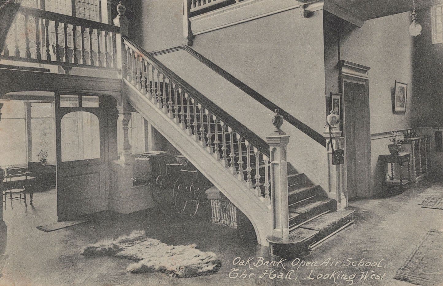 Animal Doormat The Hall Kent Open Air School Antique Postcard
