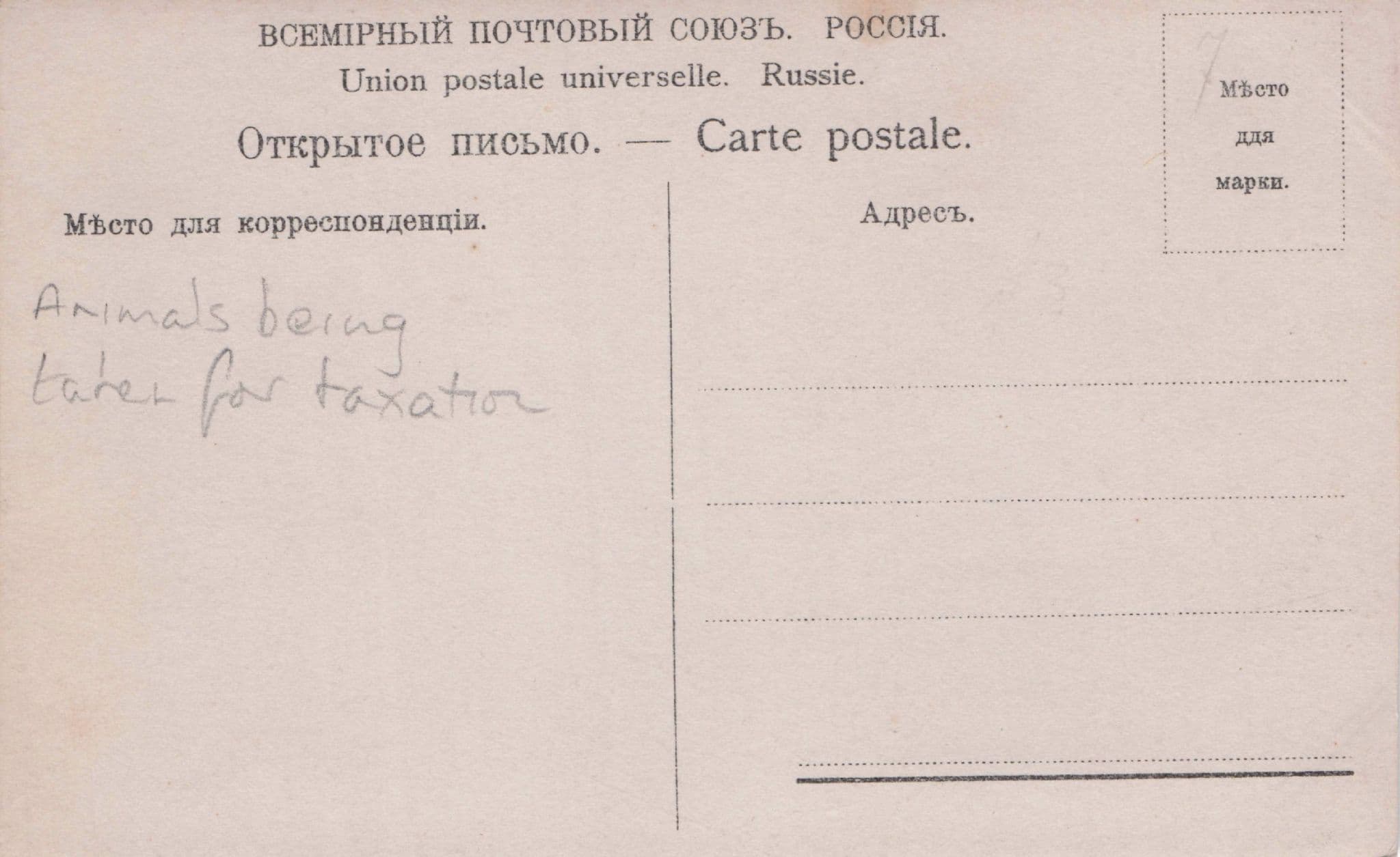 Animals Seized For Taxation Russian Czech Soviet Antique Postcard