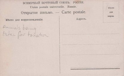 Animals Seized For Taxation Russian Czech Soviet Antique Postcard