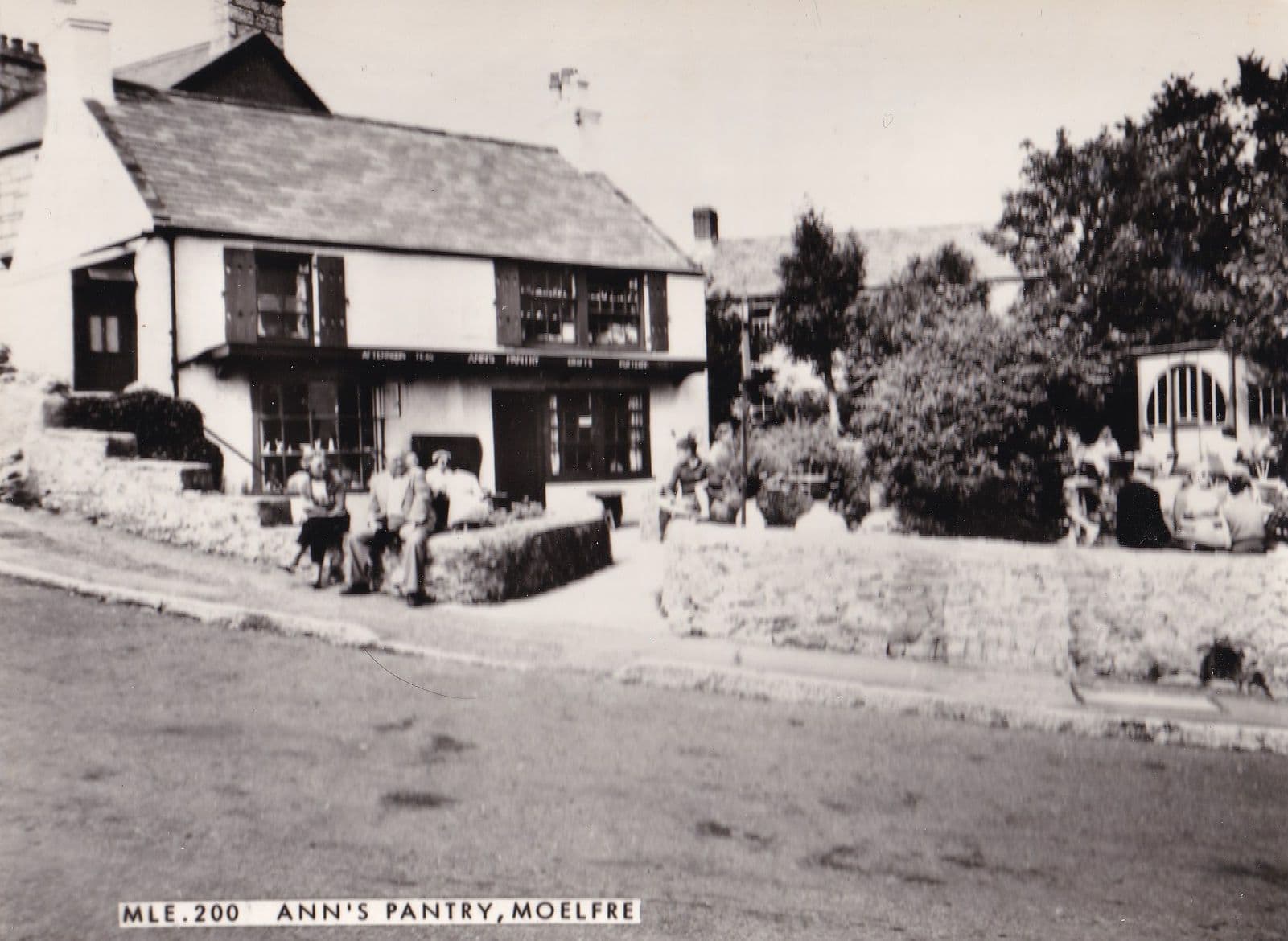 Anns Pantry Moelfre Vintage Scottish Postcard