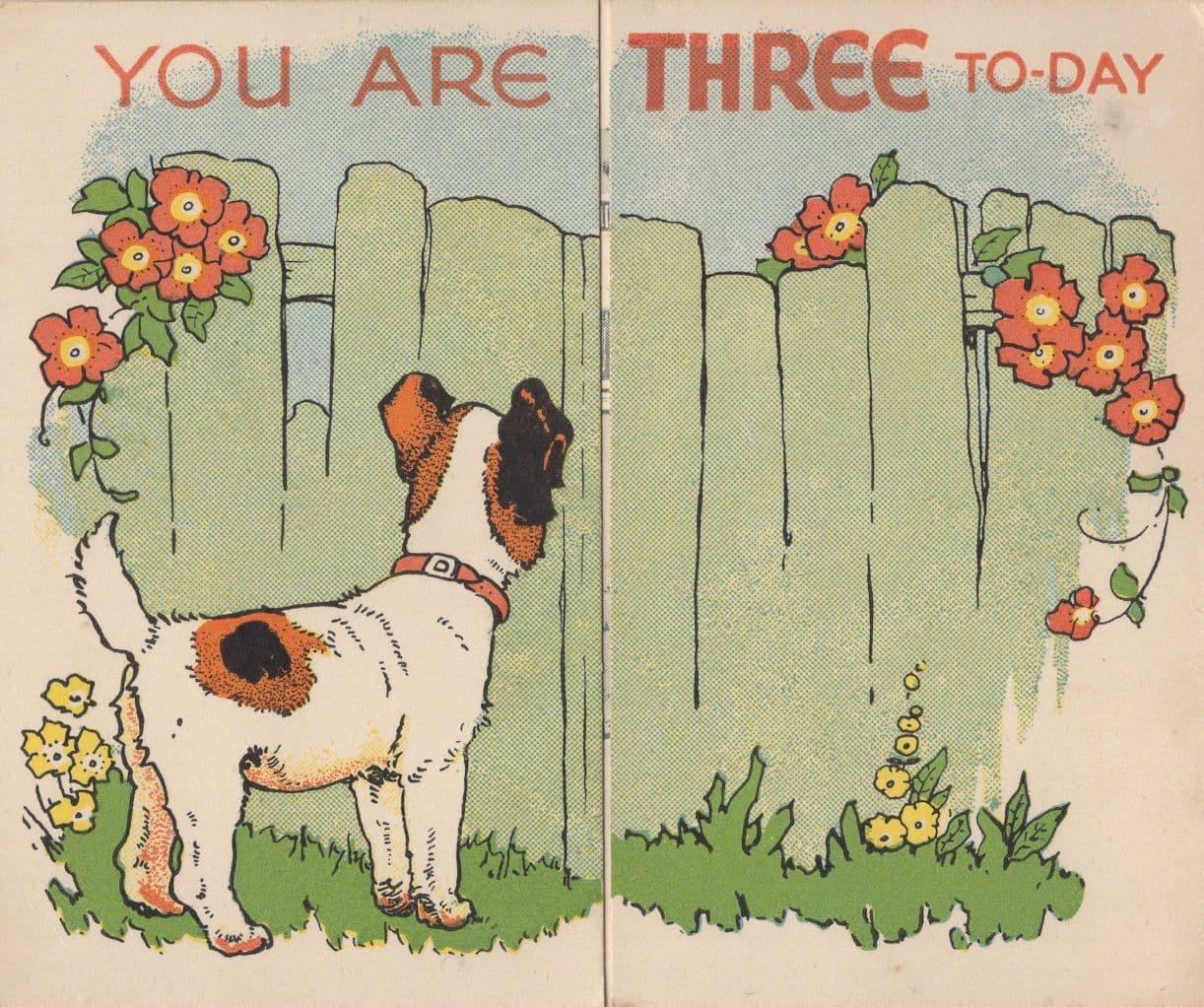 Antique Real Opening Gate & Dog Fence 3rd Birthday Old Greetings Card