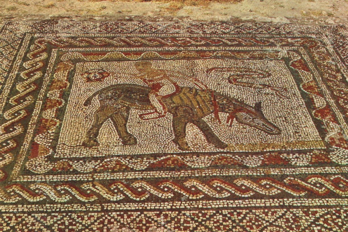Antique Rome Roman Mosaic Snake In Morocco Postcard