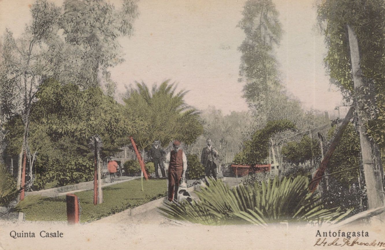 Antofagasta Quinta Casale Antique Chile Postcard
