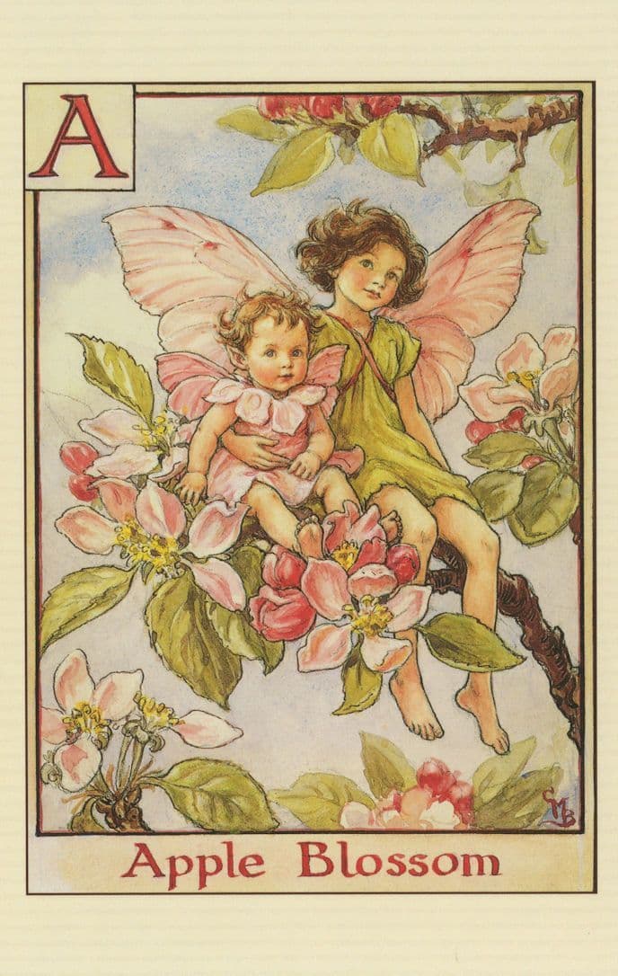 Apple Blossom Fairy of Vintage Book Flower Fairies Stunning Postcard