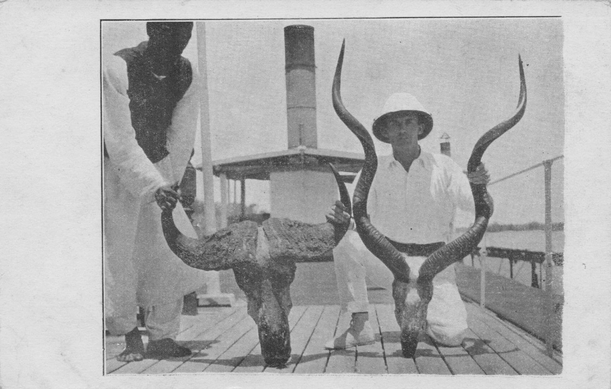 Arabic Animal Hunters On Boat Antique Hunting Trophy Ship Photo Postcard