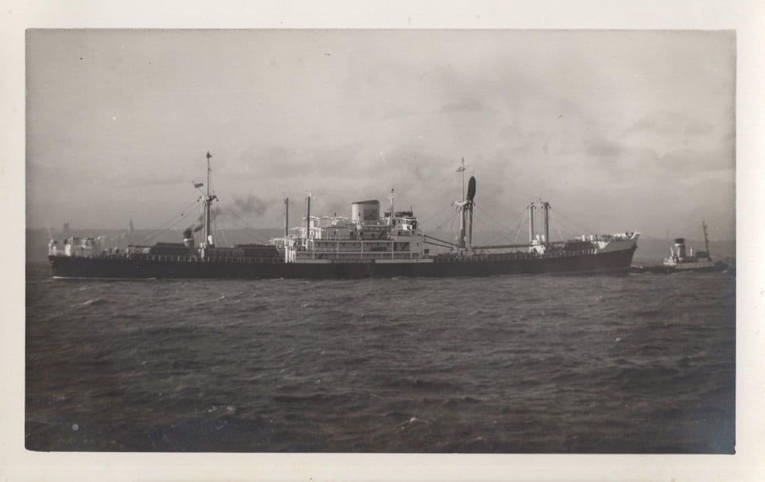 Araluen Tees Ship Steel Motor Vessel Smiths Dock Vintage Rare Photo