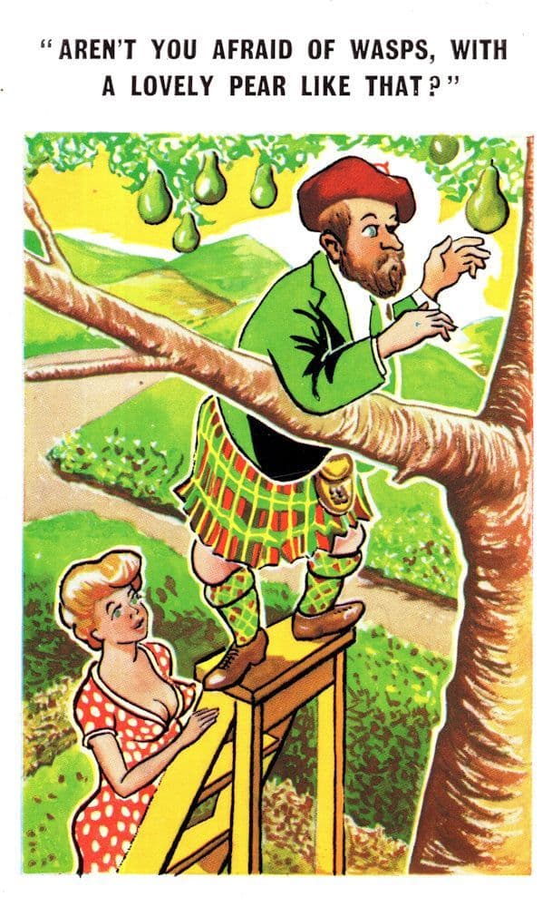 Are You Afraid Of Wasps Laddder 1970s Comic Postcard