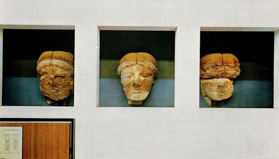 Argentina National Museum Zeus Egyptian Temple Relic Exhibits Postcard