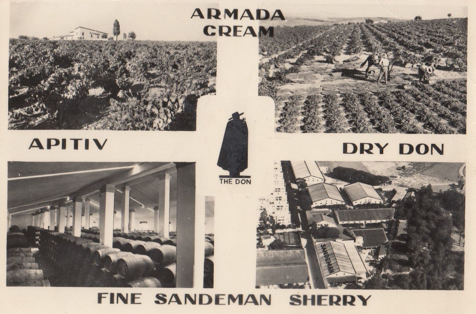 Armada Cream Sandeman Sherry Fields Making RPC Advertising Postcard