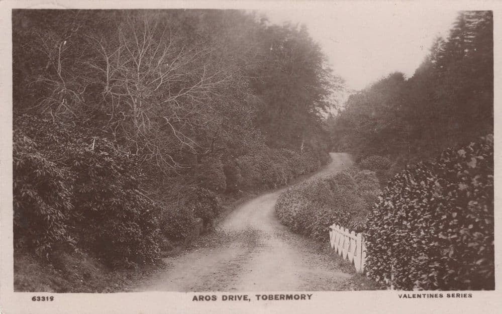 Aros Drive Tobermory Scotland Real Photo Old Postcard