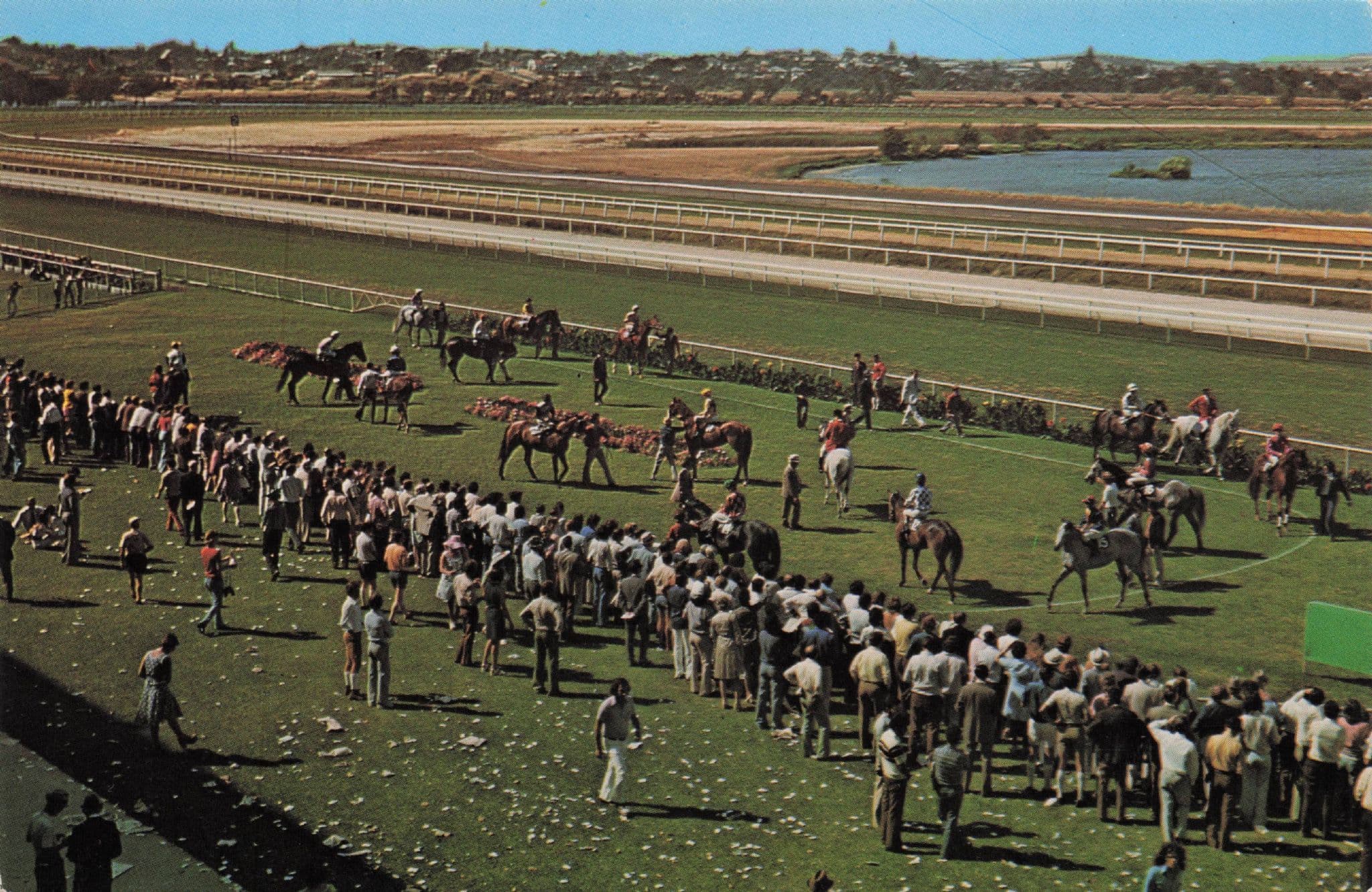 Ascot Racecourse Perth Australia Horse Race Racing Rare Postcard
