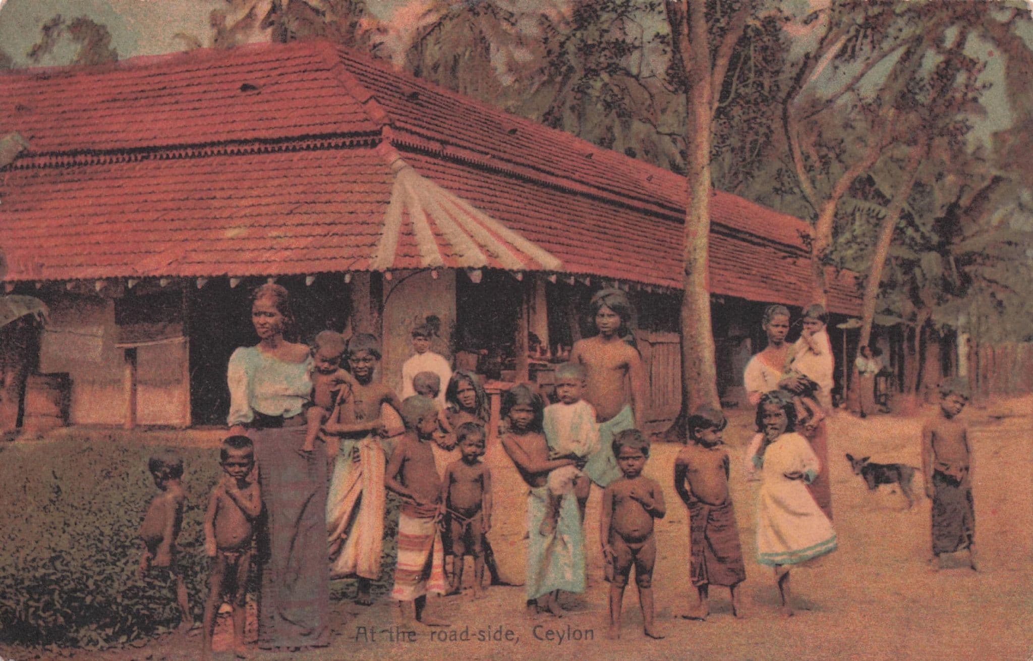 At The Road Side Ceylon House Family India Antique Postcard