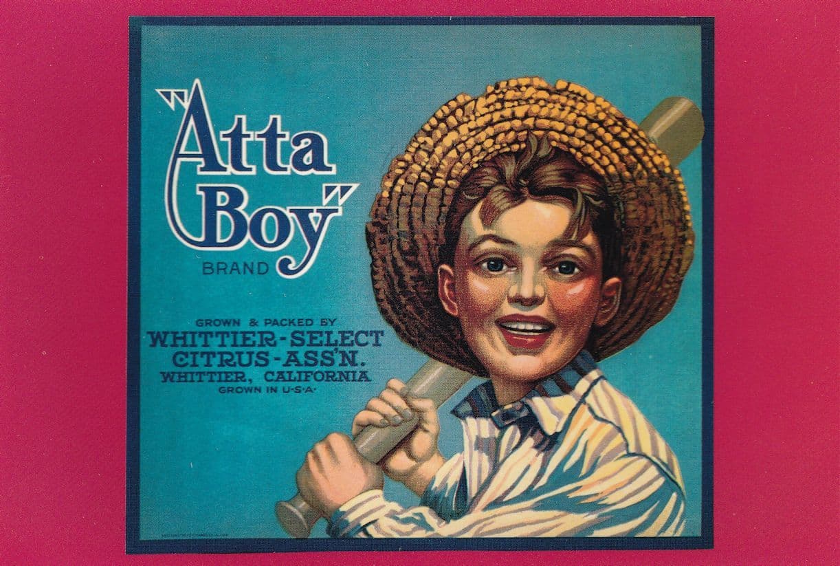 Atta Boy Baseball Orange Fruit California Advertising Postcard