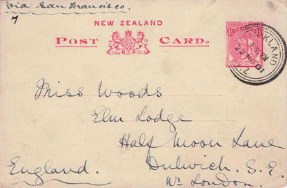Auckland 1902 New Zealand Antique Painting Frank Postcard