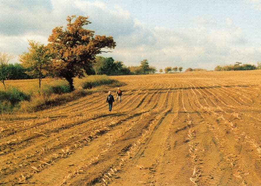Autumn Farmyard Ramble On Farm Hay at Winslow Buckinghamshire Postcard
