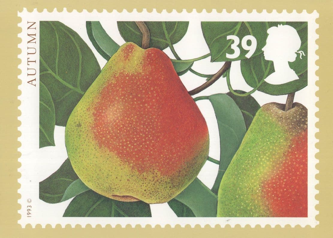 Autumn Pear Charlotte Knox Royal Mail Stamp RMPQ Postcard