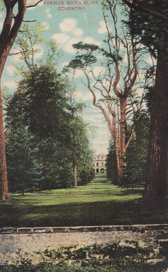Avenue Guys Cliff Coventry Antique Postcard