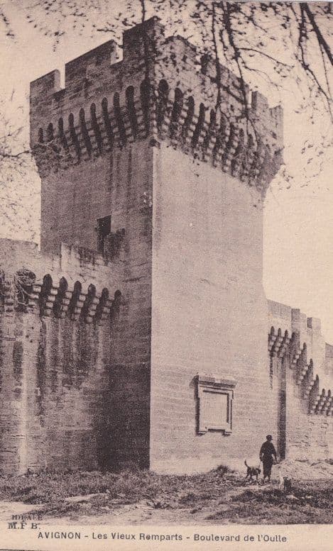Avignon Man Walking His Dog At Avenue Ramparts Old French Postcard