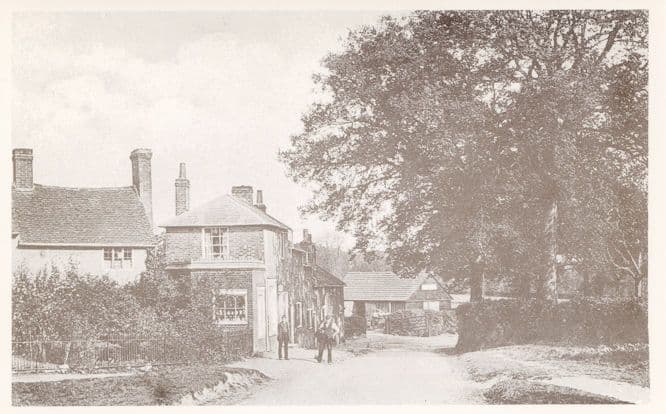 Ayot St Peter Post Office Herts Hertfordshire RPC Postcard