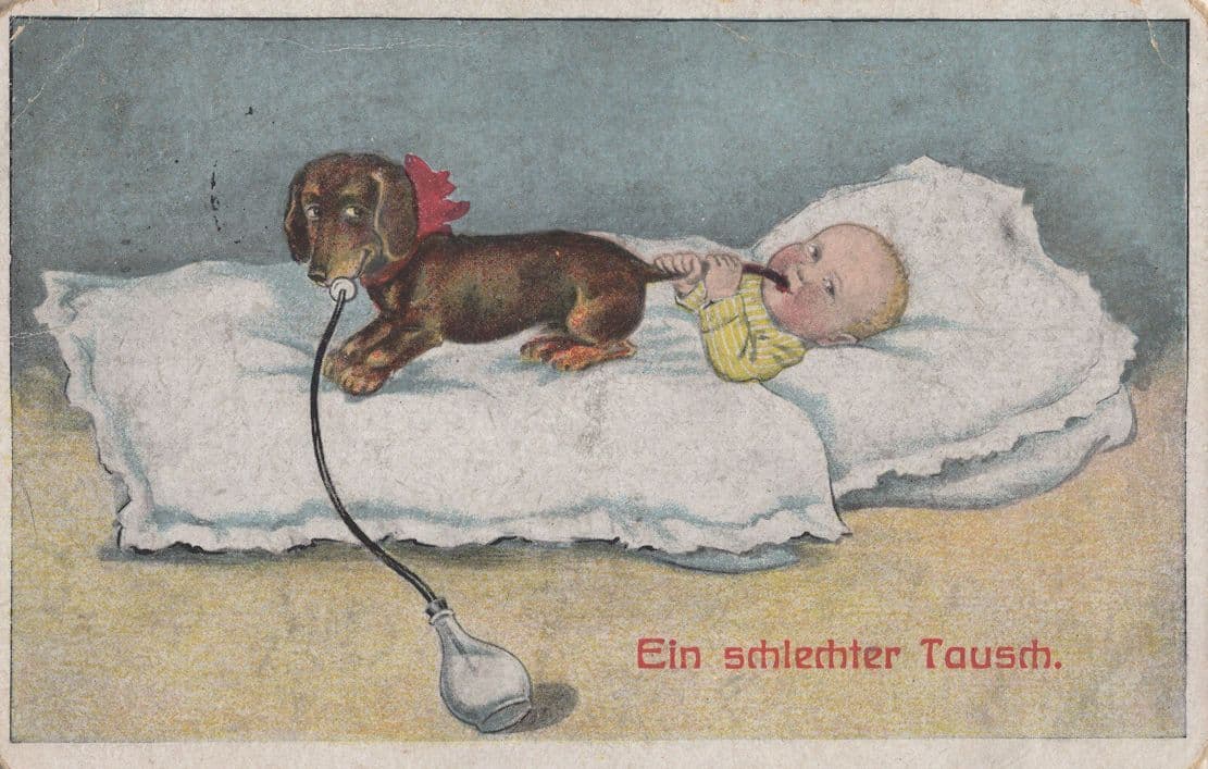Baby Eating Dogs Tail Antique Comic German Postcard