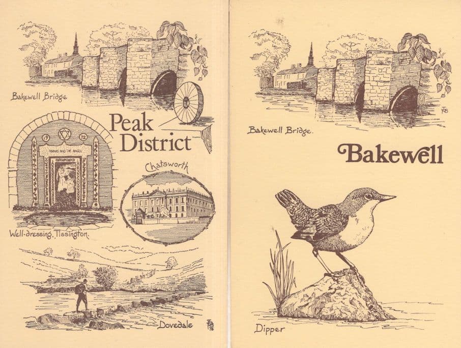 Bakewell Dipper Bird Cumbria 2x Artist Rare Postcard s