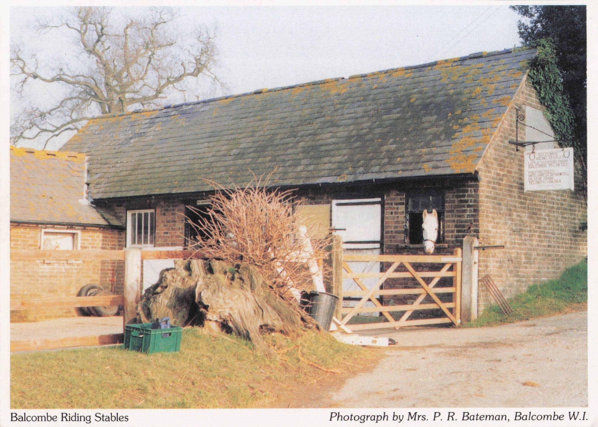 Balcombe Horse Riding Stables Farm Sussex Women's Institute Postcard