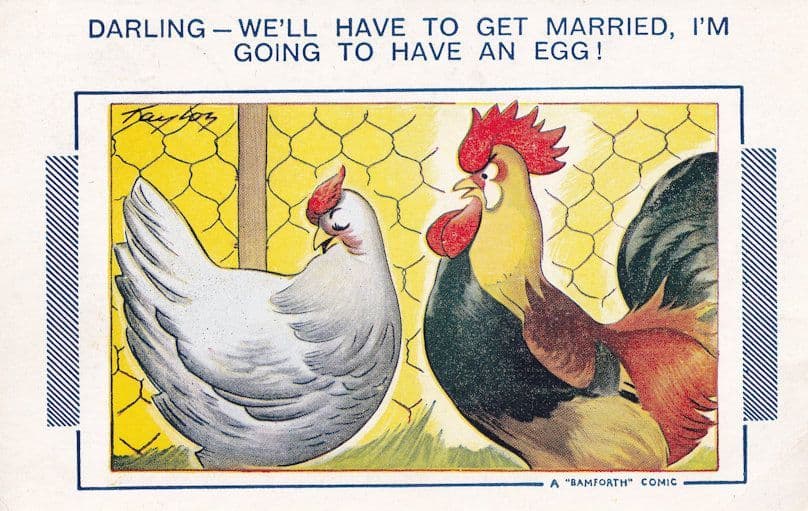 Bamforth Hen Laying An Egg Marriage Birds Comic Postcard