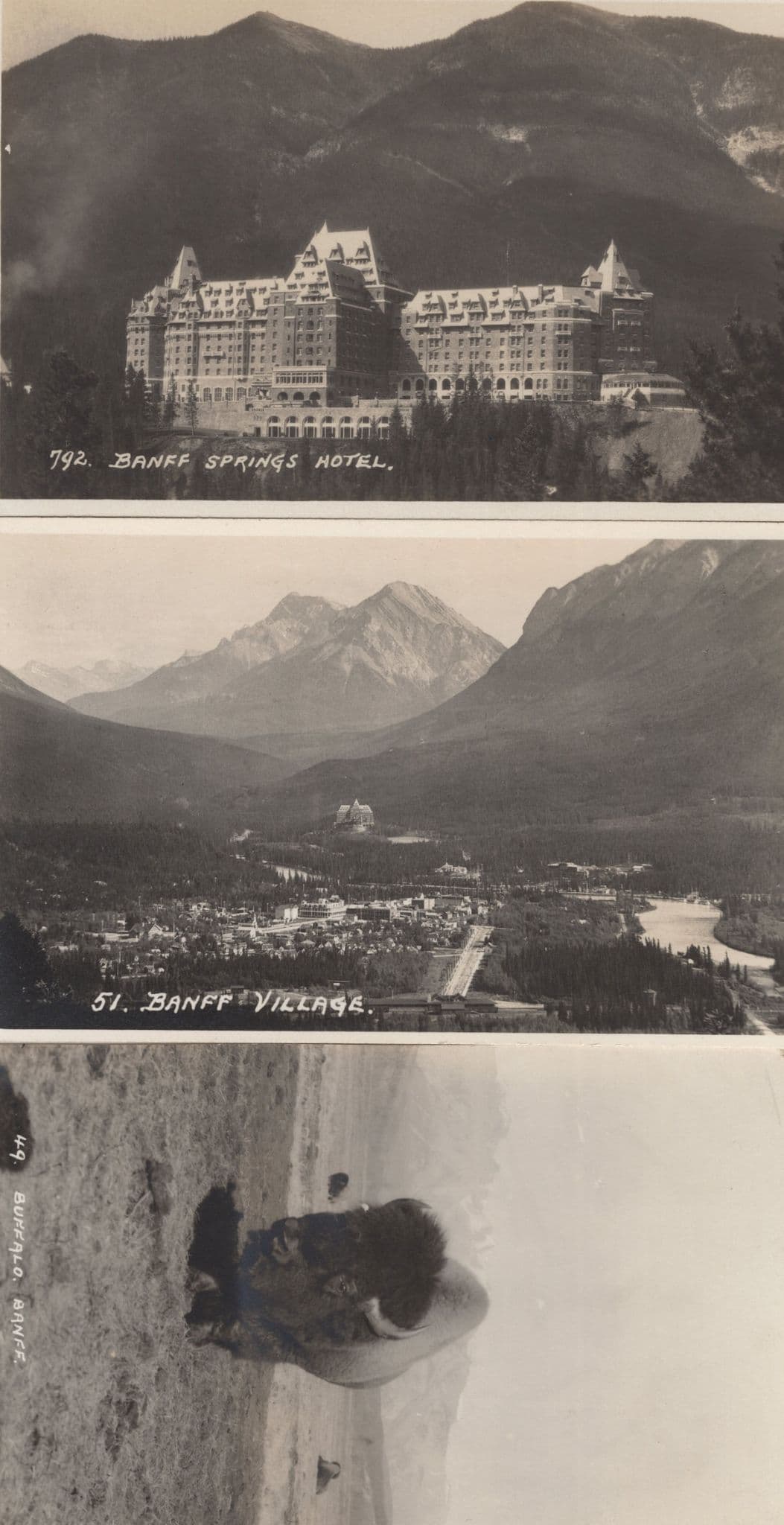 Banff Springs Hotel Cattle Village Aerial 3x Old Canada Postcard s