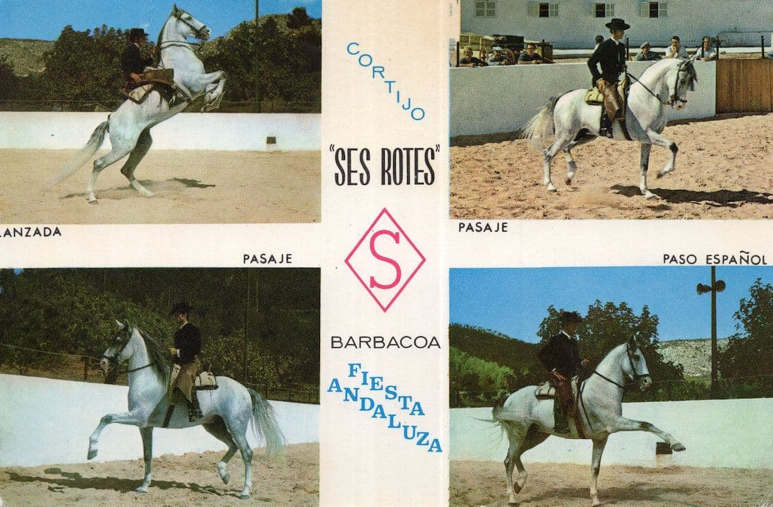 Barbacoa Ses Rotes Cortijo Spanish Rodeo Rider Postcard