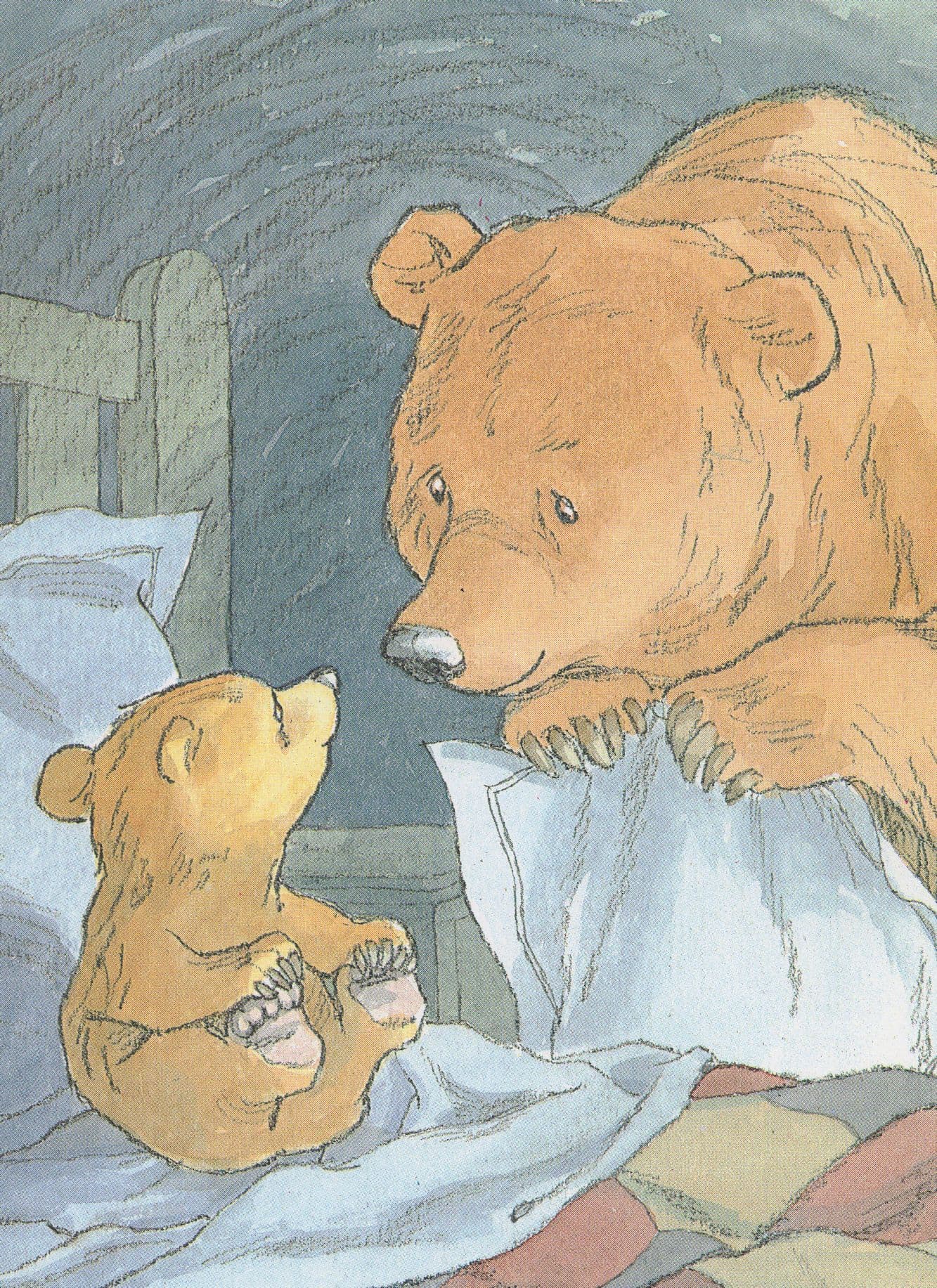 Barbara Firth Can You Sleep Little Bear Book Postcard