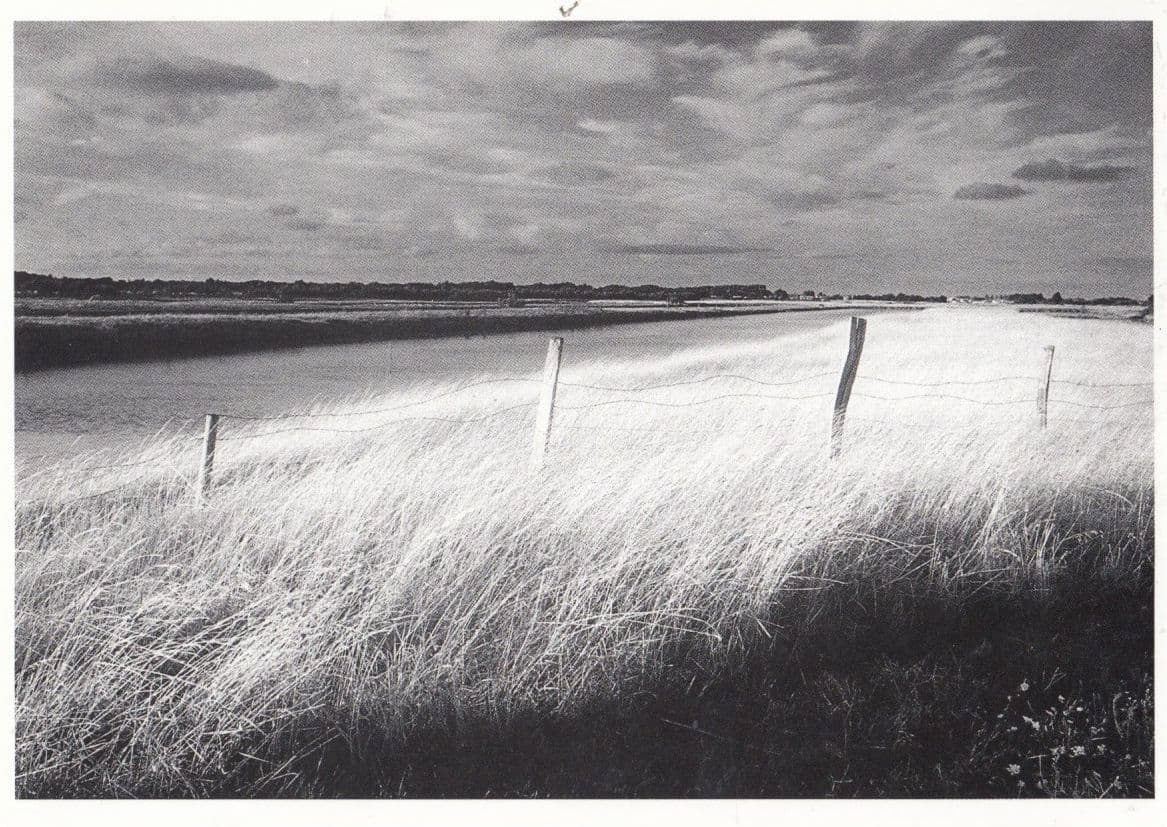 Barbed Wire Fence in Ile De Re France Philippe Peche Award Photograph Postcard