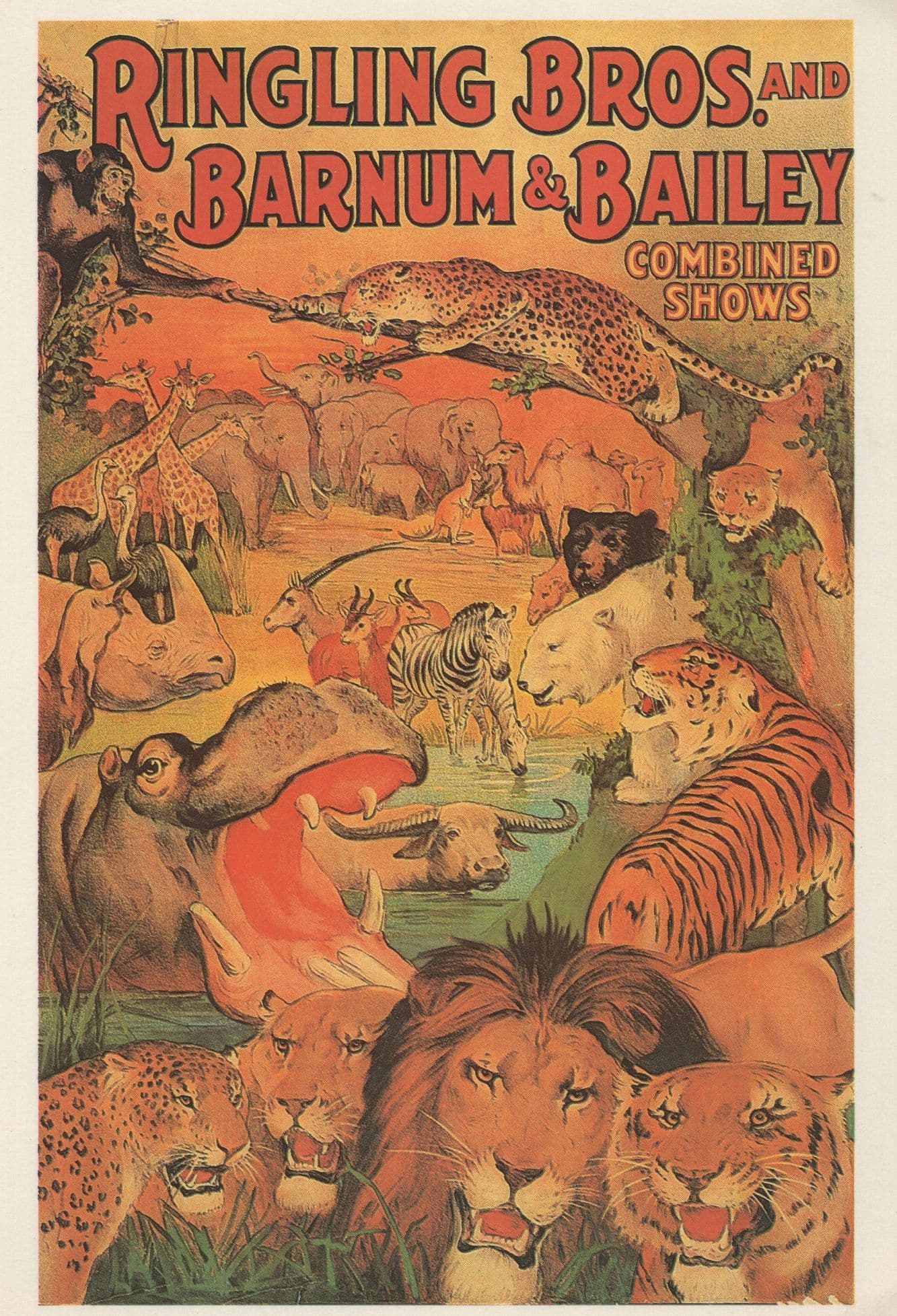 Barnum & Bailey Circus Combined Shows Poster Rare Museum Postcard
