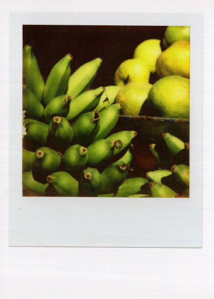 Basket Of Lemons Pears Cucumbers  Analog Award Photo Postcard
