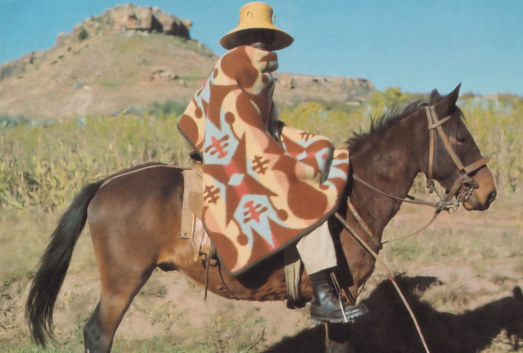 Basotho African Cowboy Horseman South Africa Postcard