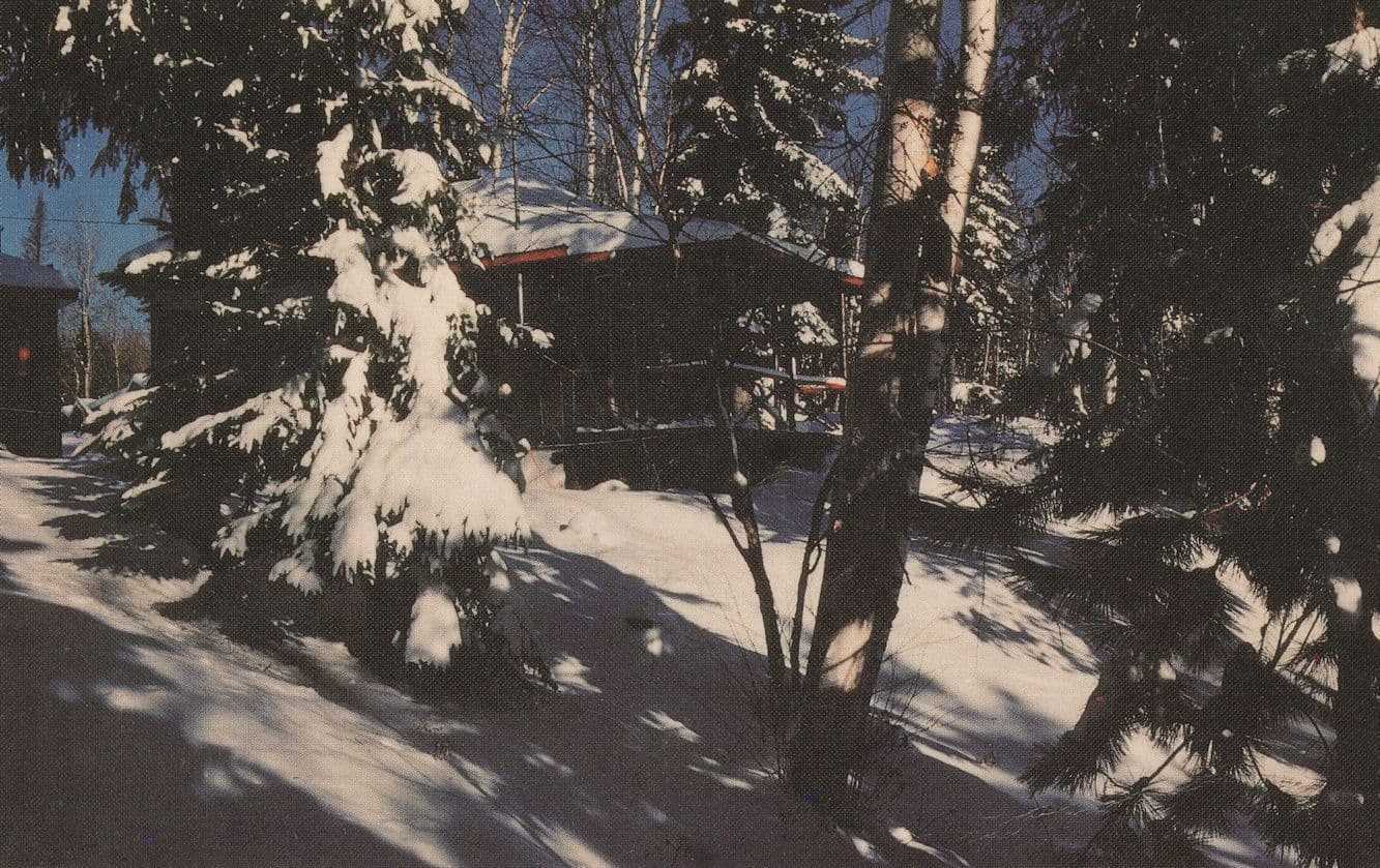 Bear Trail Inn Resort Lake Galestry Algonquin Park Canada Postcard