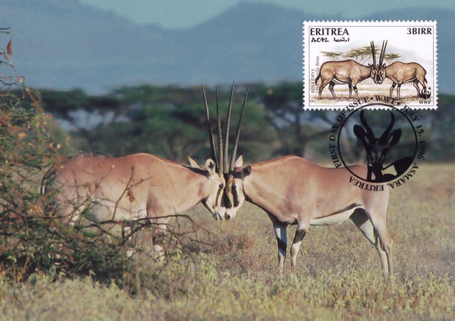 Beisa Oryx Antelope Eritria WWF Limited Stamp First Day Cover Postcard
