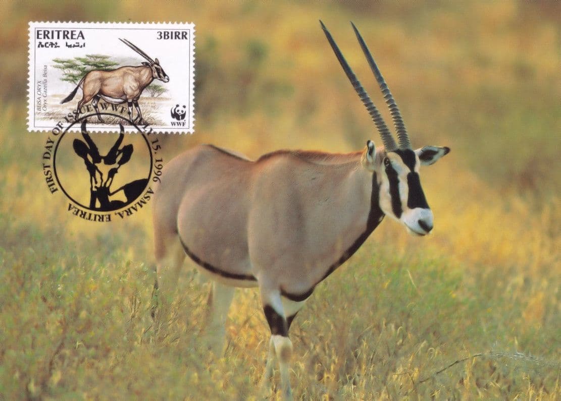 Beisa Oryx Antelope Eritria WWF Rare Stamp First Day Cover Postcard
