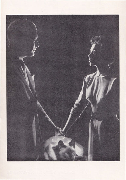 Bell Book & Candle Phoenix Rex Harrison Lilli Palmer Theatre Programme