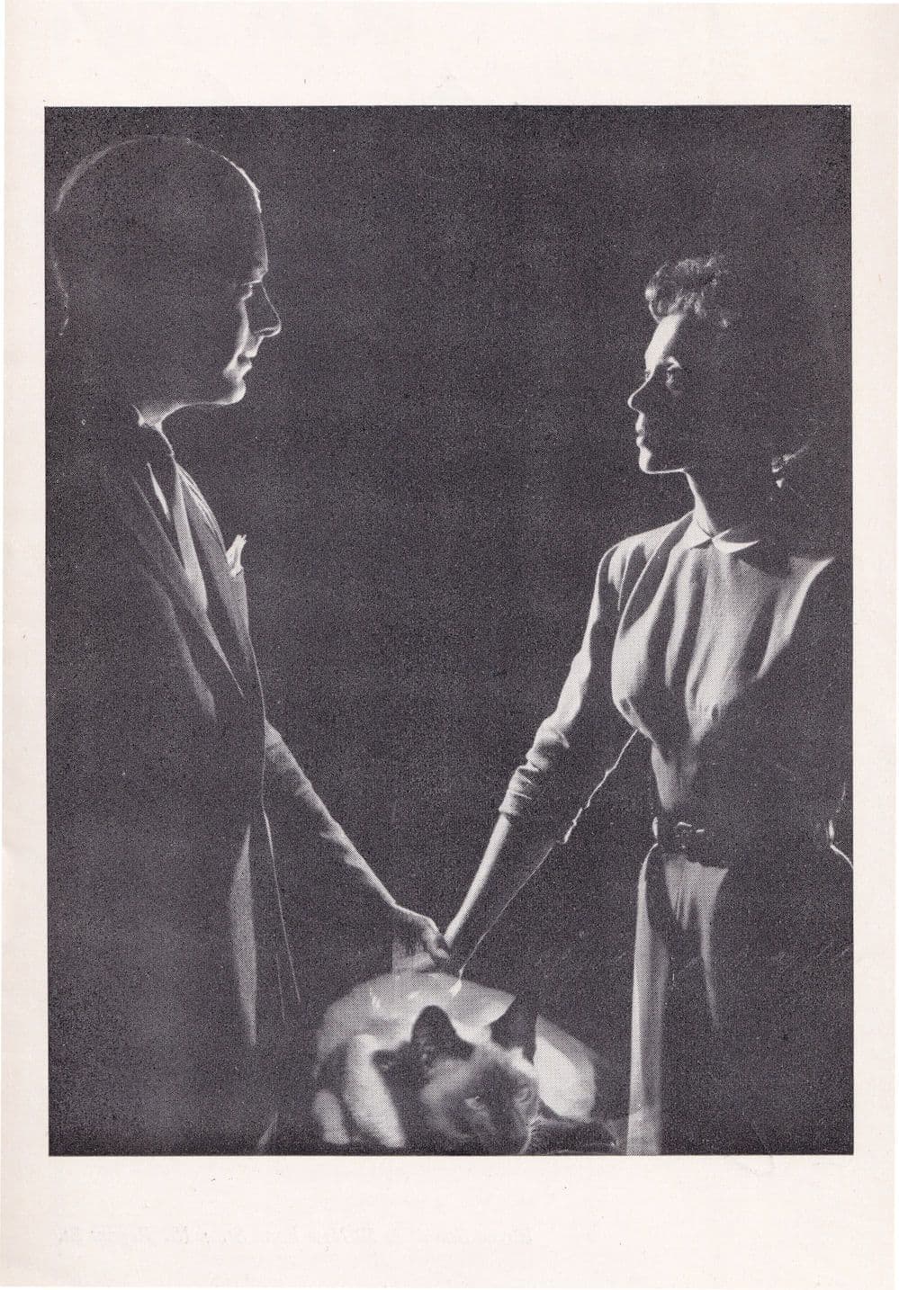 Bell Book & Candle Phoenix Rex Harrison Lilli Palmer Theatre Programme