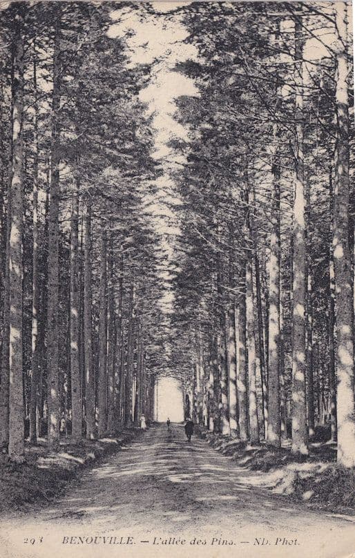 Benouville L'allee Des Pins Old French WW1 War 1916 Postcard